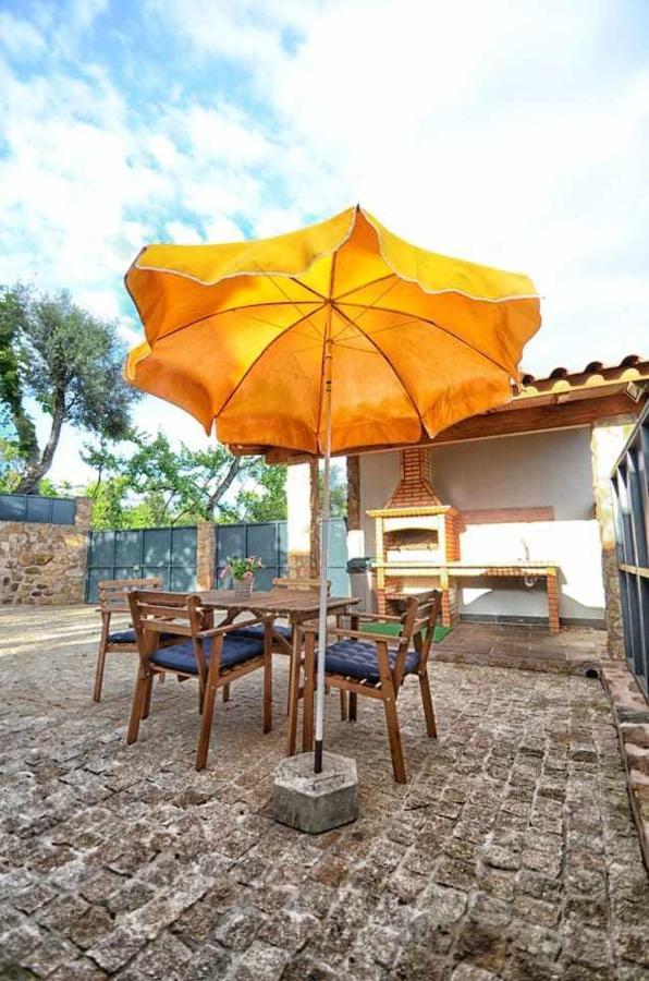 Casa Das Vinhas Camelias De Bastoturismo Rural Celorico De Basto Exterior photo