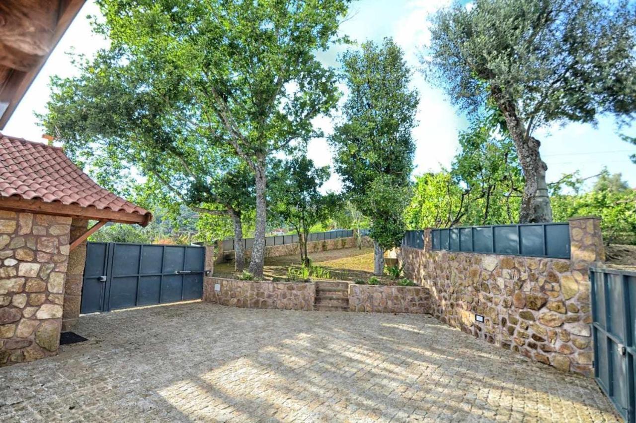 Casa Das Vinhas Camelias De Bastoturismo Rural Celorico De Basto Exterior photo