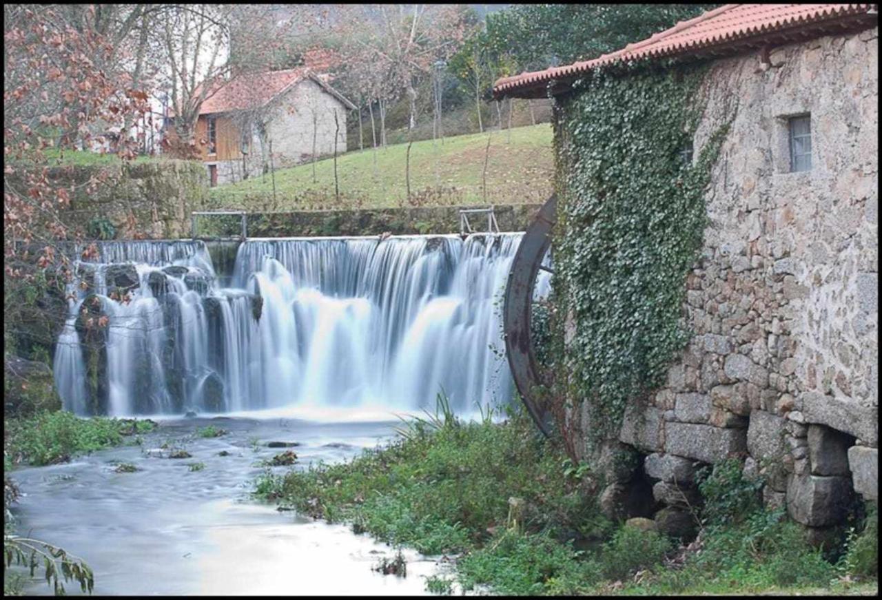 Casa Das Vinhas Camelias De Bastoturismo Rural Celorico De Basto Exterior photo