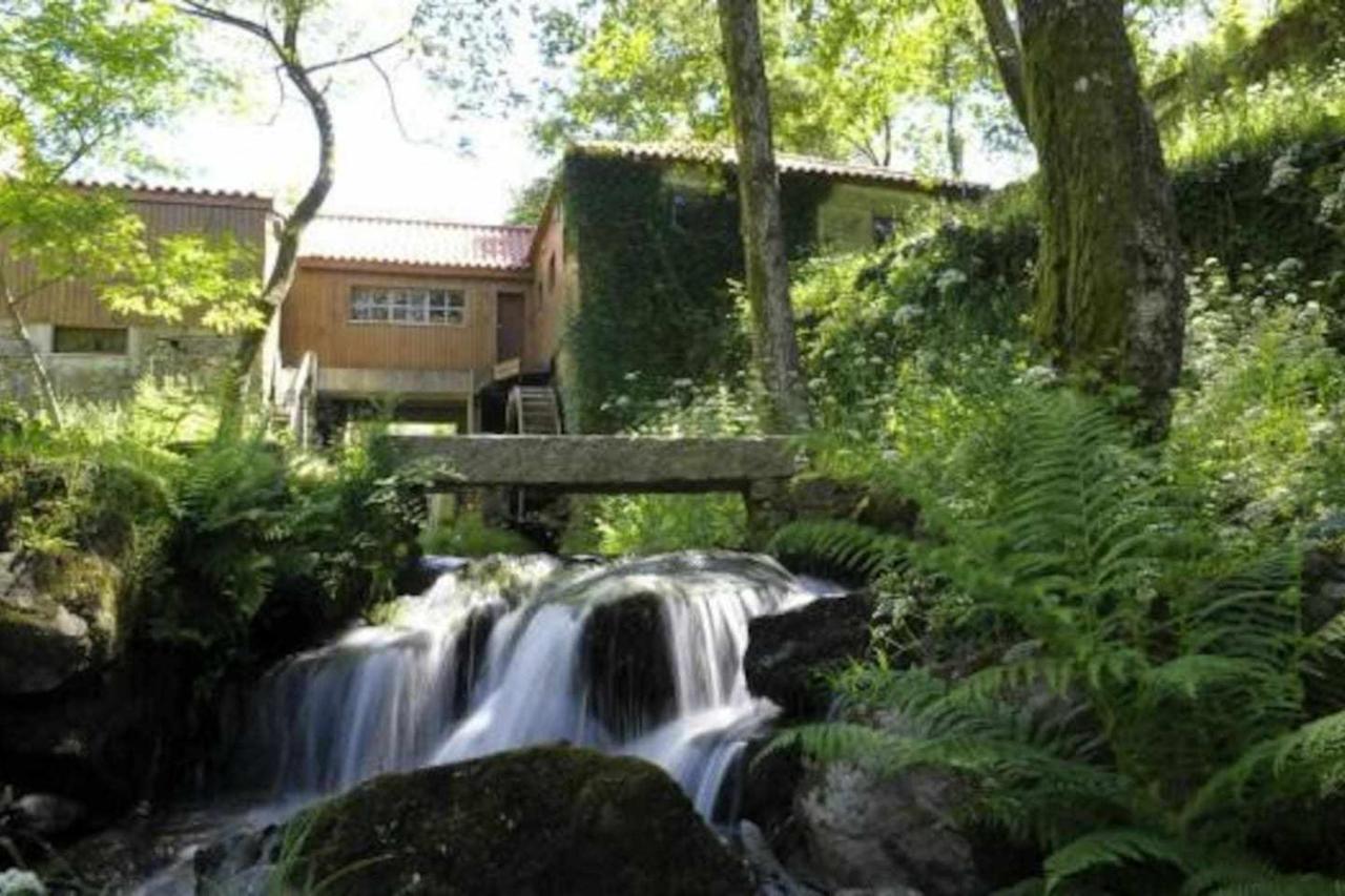 Casa Das Vinhas Camelias De Bastoturismo Rural Celorico De Basto Exterior photo