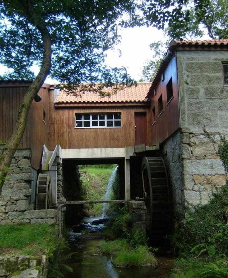 Casa Das Vinhas Camelias De Bastoturismo Rural Celorico De Basto Exterior photo